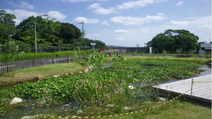 姫路製造所ビオトープ